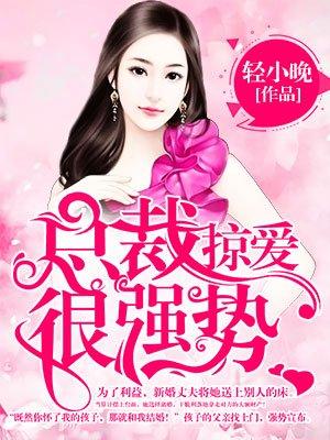 总裁掠爱成婚全文阅读