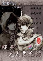 瓶邪文无限