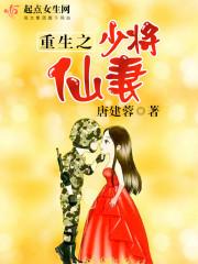 重生之空间少将仙妻