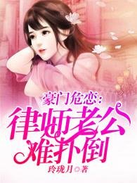 豪门总裁律师妻