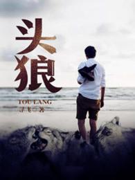 头狼人物