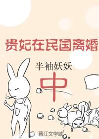 贵妃民国离婚中