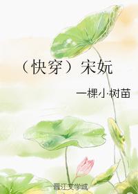 宋乐快穿
