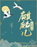 综穿之麒麟儿无错版