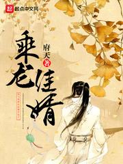 乘龙佳婿好看吗
