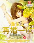 重生之再婚一次TXT