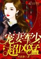 霍少追妻100式
