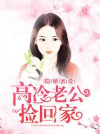 隐婚高冷老公 若云浅