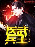 医武兵王全集
