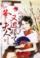 夫人又逃婚了最新