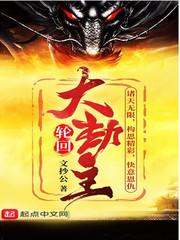 轮回大劫主结局