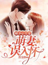 顾少心尖宠妻全文免费阅读