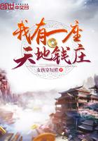 我有一座天地钱庄txt电子书