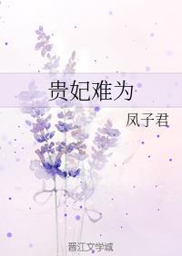 贵妃难为无防盗