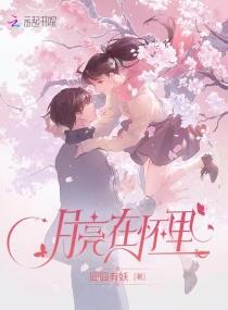月亮落入怀中