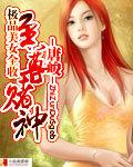 至尊赌神1