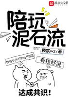 泥石流啥意思