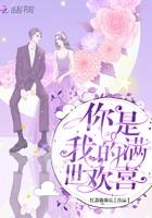你曾是我的满心欢喜