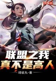 联盟之我真不是高人中叶一修妹妹的结局