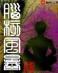 脑核风暴修炼等级