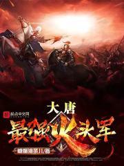 大唐最强军火商火星酒