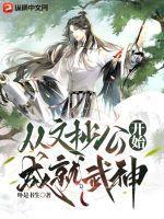 从文抄公到全大陆明星txt