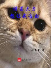 诸葛大力是我