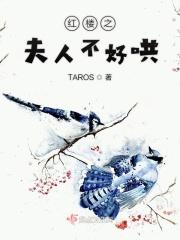 红楼之夫人季氏书包网