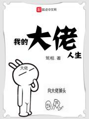 我的大佬人生笔趣阁