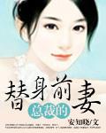亿万老婆买一送一和总裁的替身前妻