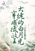 穿成摄政王by