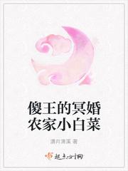傻王的小王妃免费阅读