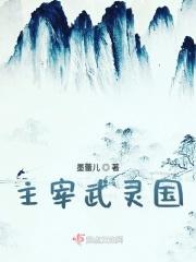 大主宰武灵是谁