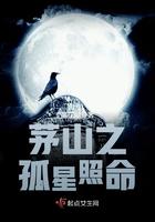 茅山遗孤txt全文免费阅读