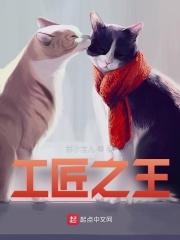 工匠之神工具质量怎么样