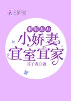 重生九零小娇