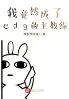 edg教练corgi