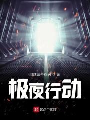 极夜行动游戏