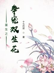 重生之双倍宠爱bl
