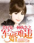 盛世军婚新浪