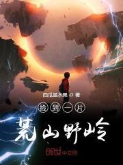 捡了一片荒野到底写什么