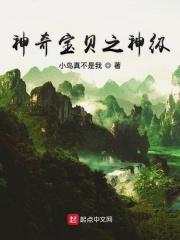 神奇宝贝之神级系统