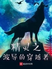 神奇宝贝之波导的圣骑士资源