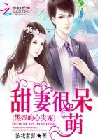 黑帝的心尖儿宠