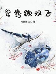 鸳鸯双栖蝶双飞是什么歌谁唱的