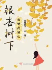 银杏树下的初恋是多少集
